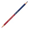 Amazonで自分の名前入り赤青鉛筆をゲット！名入れがなんと無料！