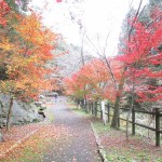 【香川】塩江温泉郷の観光スポット『不動の滝』の紅葉がステキ！