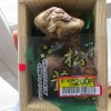 激安！中国産の松茸の価格に驚愕！安全なのでしょうか？